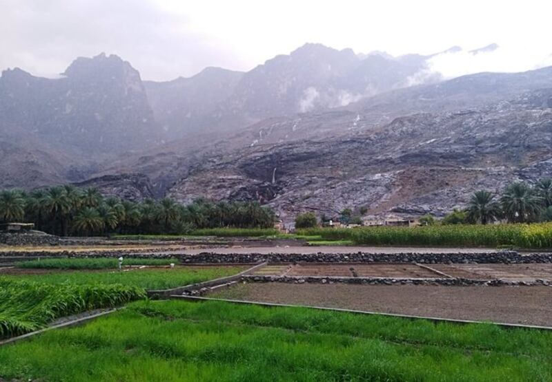 الهجير قرية عمانية كأنها سور منيع