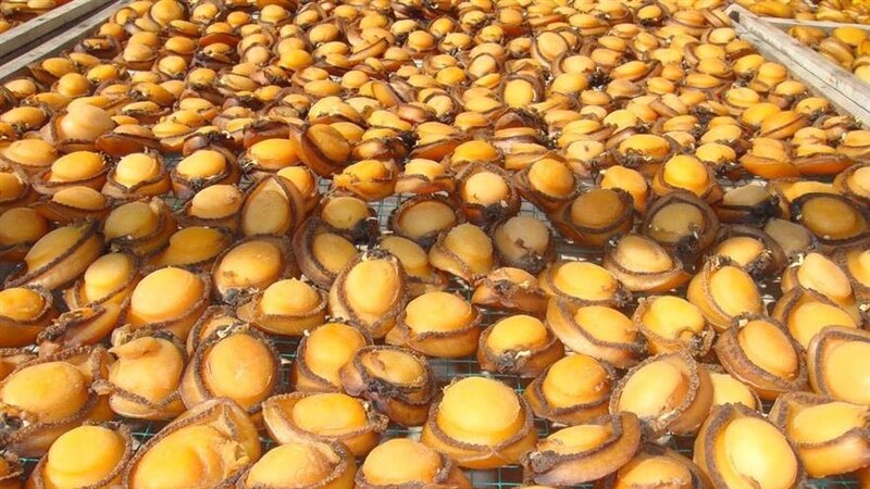مشروع بـ 100 ألف ريال يخدم الصفيلح العماني