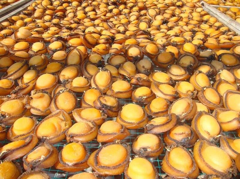 مشروع بـ 100 ألف ريال يخدم الصفيلح العماني