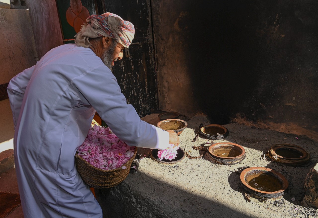 يستخدم في عدة صناعات: ماذا تعرف عن ورد الجبل الأخضر؟
