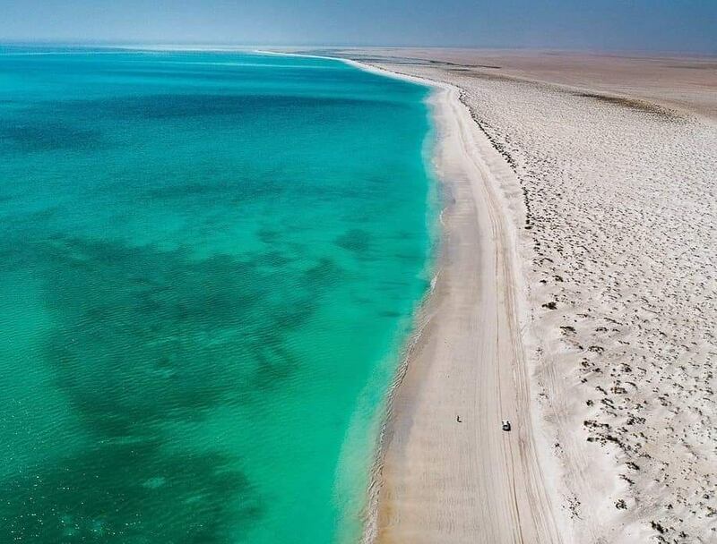 ملايين من سرطانات البحر في بر الحكمان