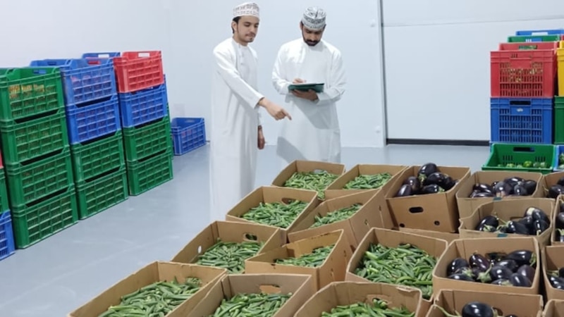“الإنتاج التسويق الزراعي” تبدأ التشغيل التجريبي لمحطتها الأولى