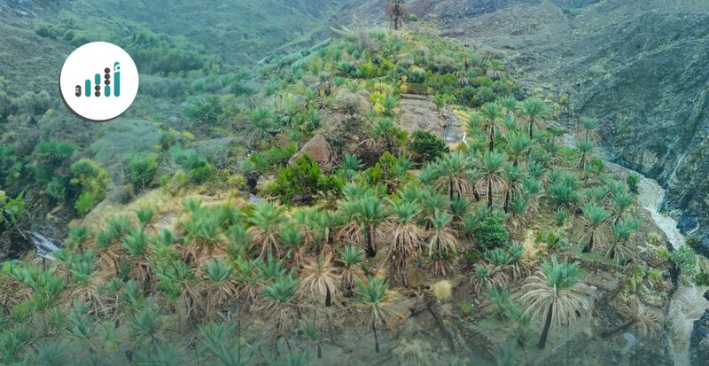 قبل زيارتك ينقل: إليك ما تحتاج معرفته لاكتشافها عن قرب