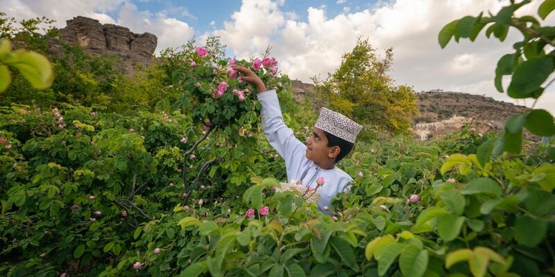 لقطات لا تفوّت: فعاليات ”ربيع الجبل“ ستنطلق غدًا ، فهل ستزورها؟
