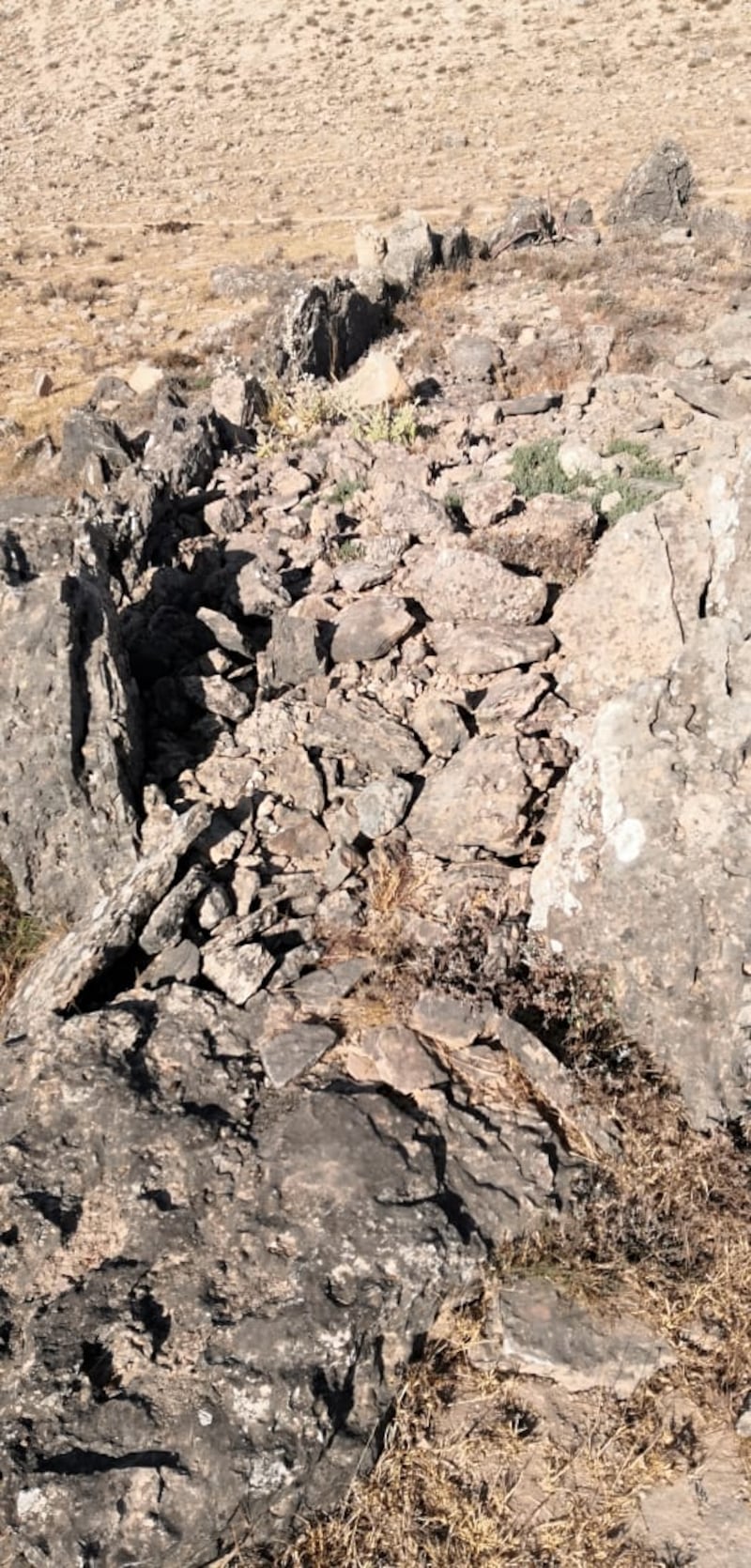 “حيوان سيلول” نموذجًا: آثار قديمة في ظفار نُسِجت حولها أساطير