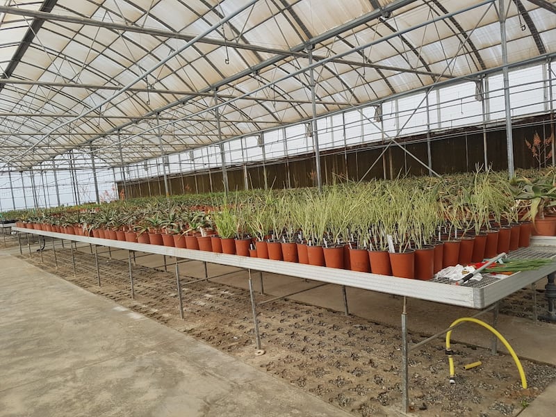 الأولى من نوعها في السلطنة: تعرّف على حديقة النباتات والأشجار العمانية بالصور