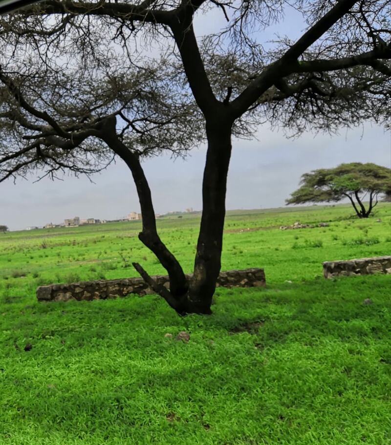 بالصور: تعرف على “جبجات” مقصد موسم “الصرب”