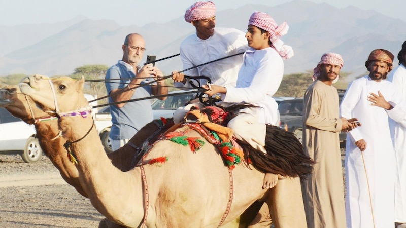 بـ 400 ناقة: إحياء موروث شعبي في الشرقية