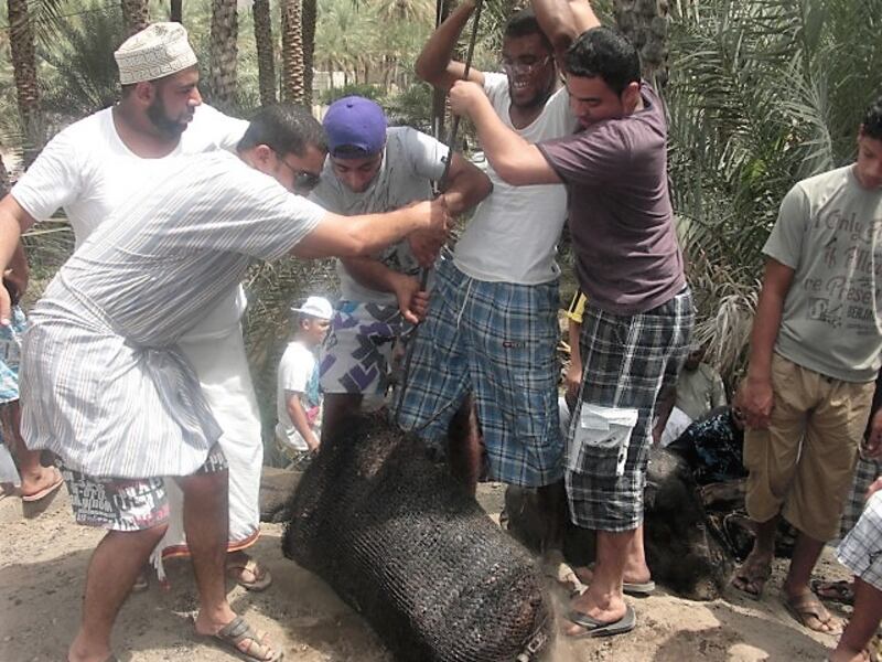 مظاهر بارزة في عيد الفطر السعيد بالسلطنة، تعرّف عليها