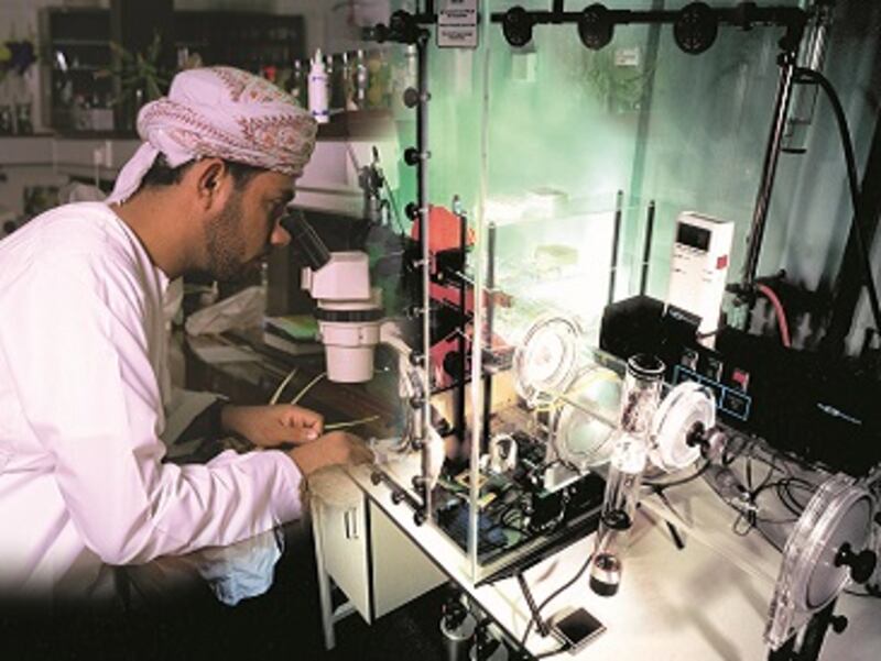 د.رجب العويسي يكتب: مؤسسات التعليم والبحث والابتكار الوطنية وإعادة إنتاج واقعها لما بعد كورونا