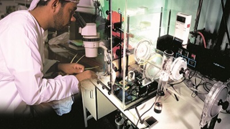 د.رجب العويسي يكتب: مؤسسات التعليم والبحث والابتكار الوطنية وإعادة إنتاج واقعها لما بعد كورونا