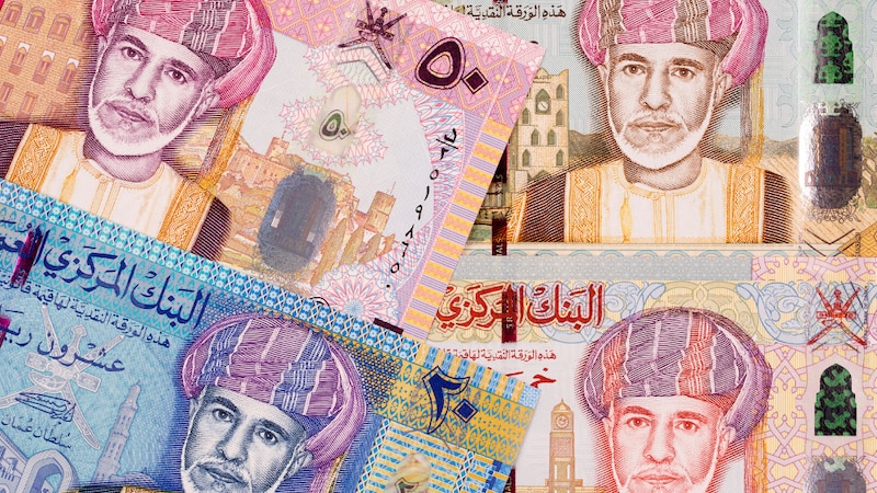 أكثر من 300 مليون أرباح من استثمارات حكومية: المالية تكشف عن أرقام الأداء المالي