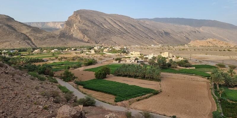 سلة غذائية ووجهة سياحية: هل زرت قرية تنوف؟