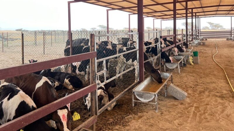 للمهتمين في الاستثمار: 21 فرصة جديدة في البريمي