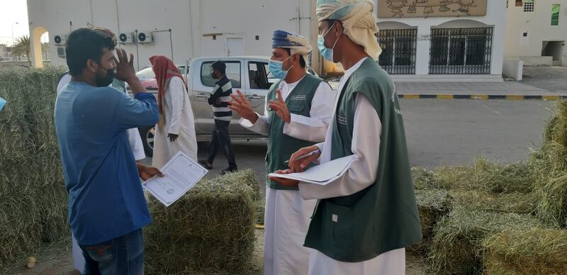 رصد تلاعب بأوزان الأعلاف والحشائش.. واستدعاء أكثر من 60 سيارة