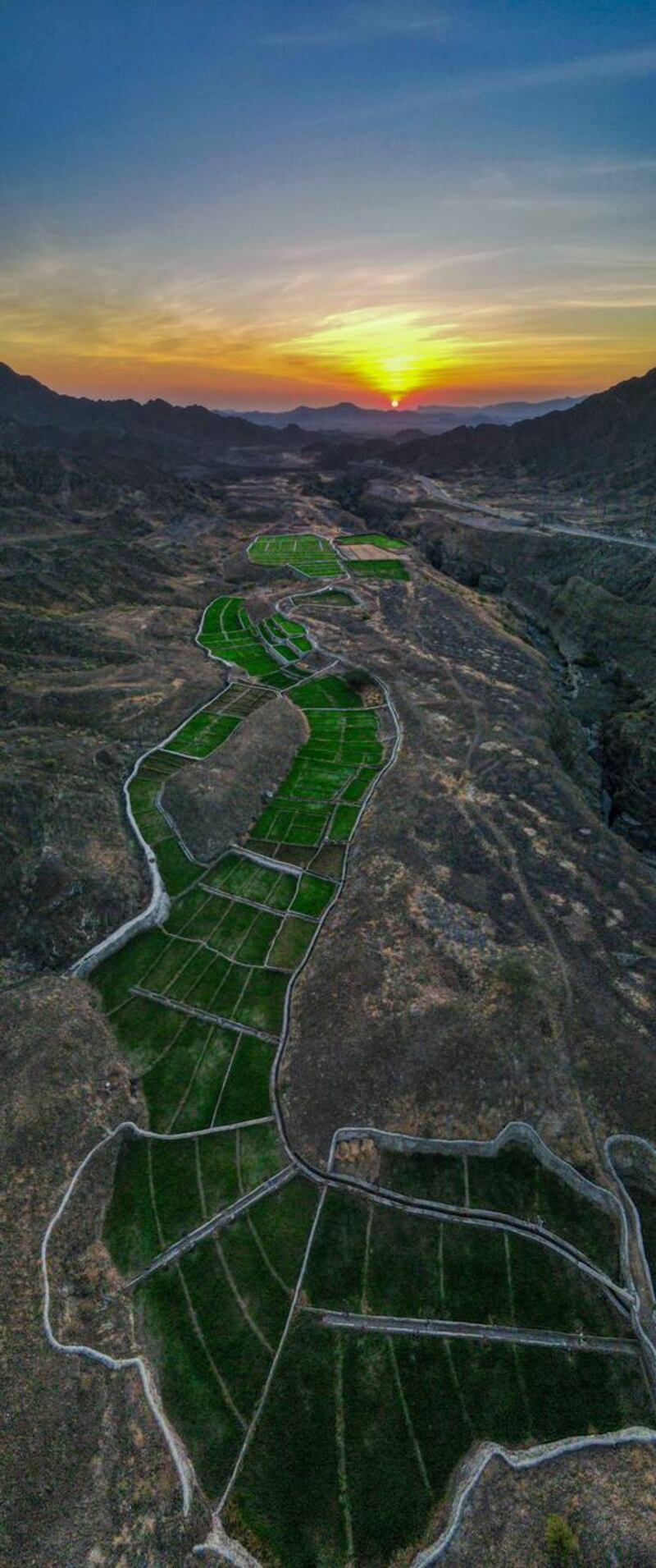 حملة: خلا غيّر جوّك في البريمي