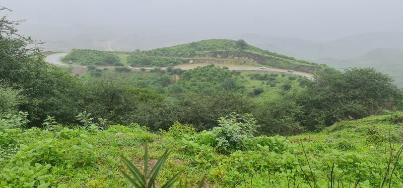 “التلة المغناطيسية” ظاهرة عجيبة في عقبة “حشير”؛ فهل عشت تجربتها؟