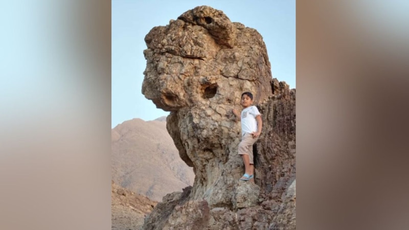 بعد تداول صورة في وسائل التواصل: ما قصة صخرة “رأس إنسان”؟