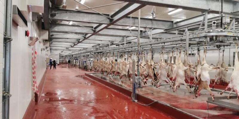 جهاز الاستثمار العماني يعلن عن افتتاح 13 مشروعًا وطنيًا