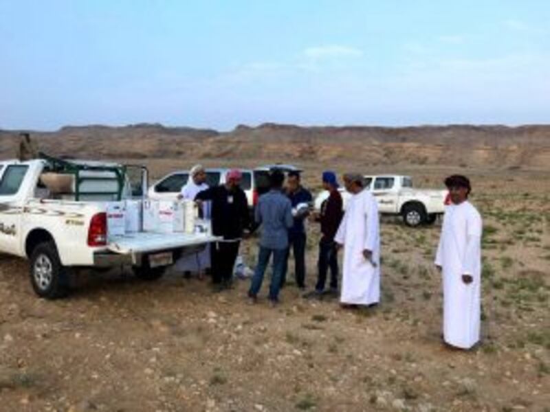 بالصور: رصد بؤر لتجمعات الجراد الصحراوي والزراعة تتعامل معها