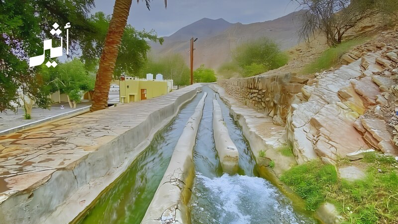 قصة تُثيرها تساؤلات واقعية: أما آنت لحظة الرأفة بأفلاجنا؟