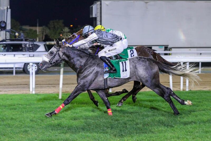 ثنائية ذهبية للفروسية العُمانية في أبوظبي