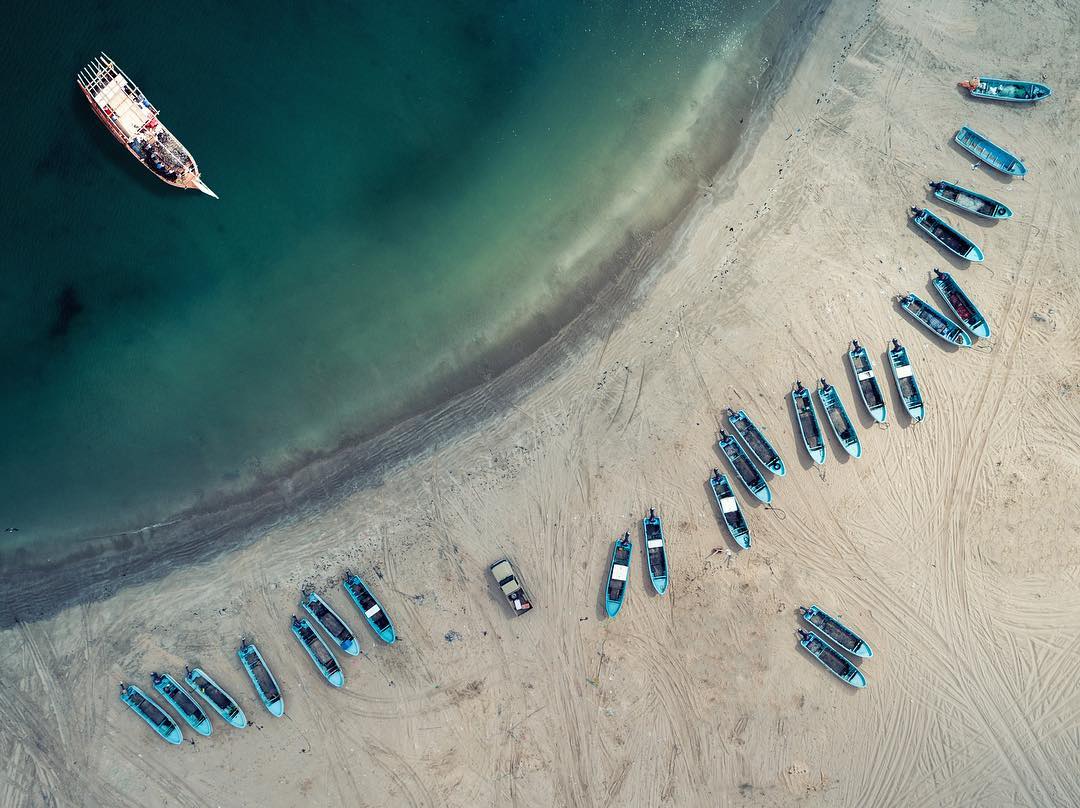 22 قرية بجعلان بني بوعلي تُصدِّر أسماكًا ذات جودة عالية