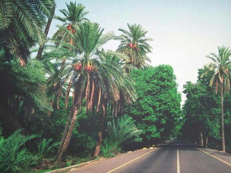 محمد الوهيبي يكتب: قريات ذات صيف