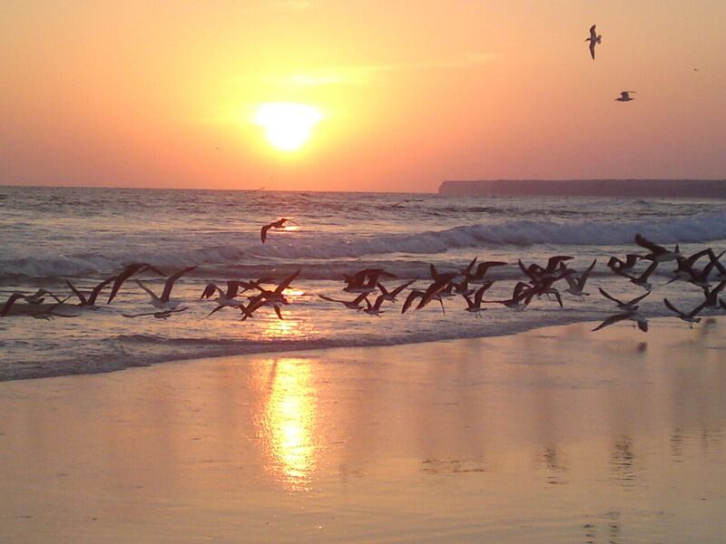 بالصور: رأس مدركة مكان سياحي جذاب.. وهذا ما يتميّز به