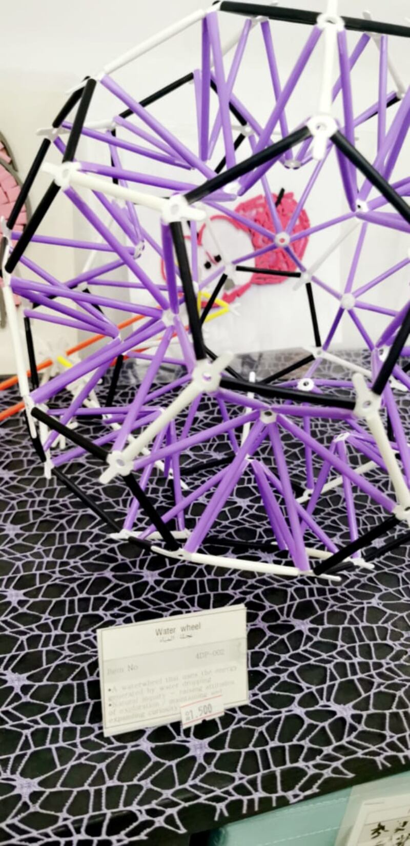 طفلان عمانيان يحصدان “الذهب” في مسابقة عالمية