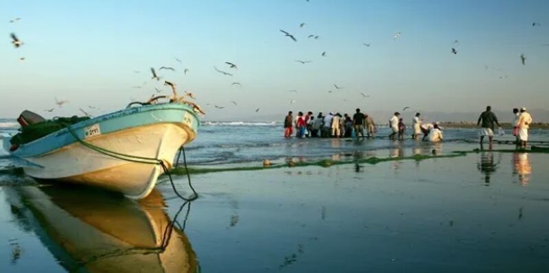 سلطنة عُمان بين أفضل الدول العربية مكافحةً للصيد غير القانوني