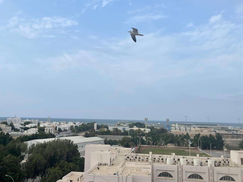 بَوْحٌ إلى عُمان من شاعر سوري