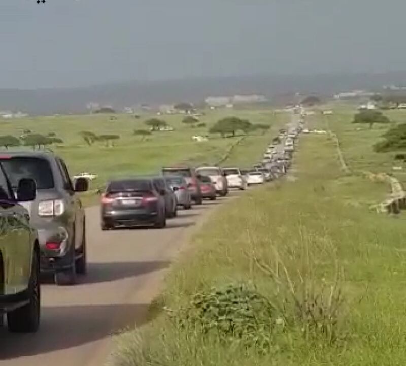 “جبجات” تتألق في موسم “الصرب” و3 مواطنين يوضحون أبرز متطلبات النيابة