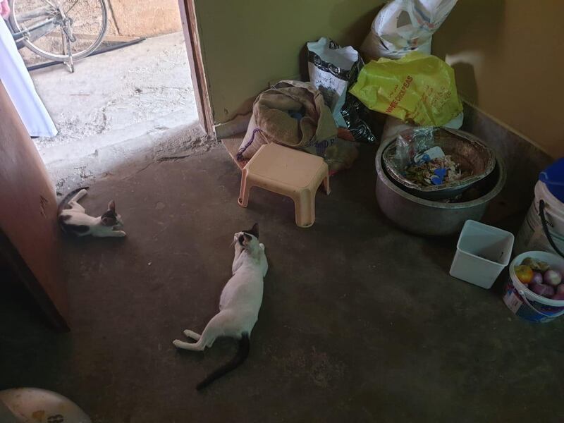 ‏بالصور: منزل يتحول إلى مطبخ في صحار