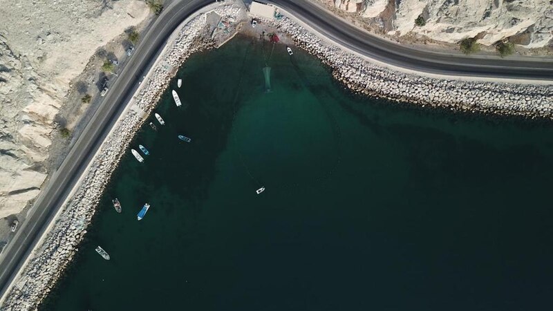 خيرات زراعية وحيوانية في مسندم
