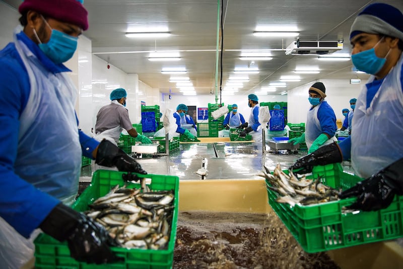 باستثمارات تتجاوز 15 مليار ريال، فرص متعددة تقدمها المدن الصناعية والمناطق الحرة