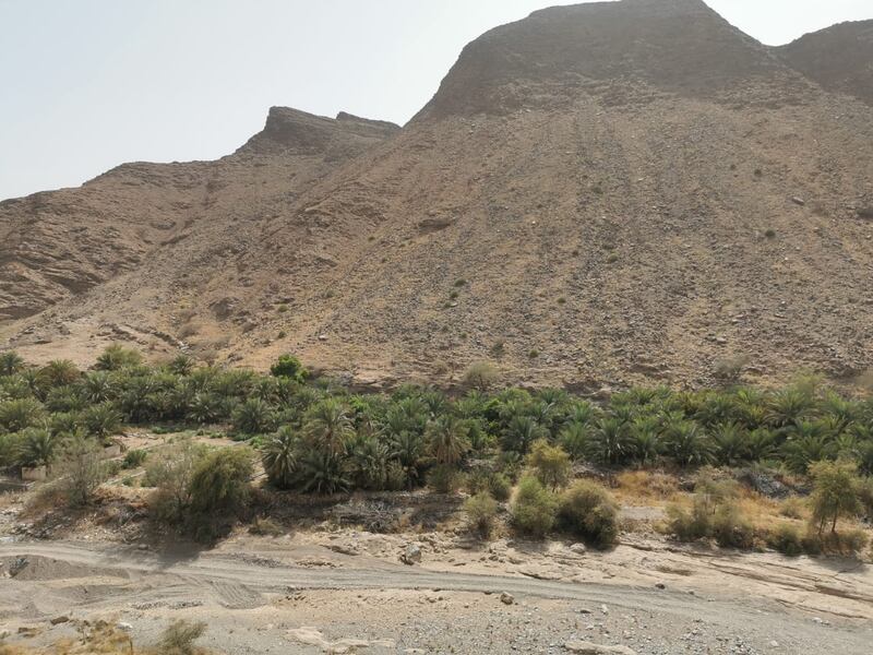 ‎أهالي “السخنة” للجهات المعنية: ماذا تكفي 600 جالون من المياه أسبوعيًا؟