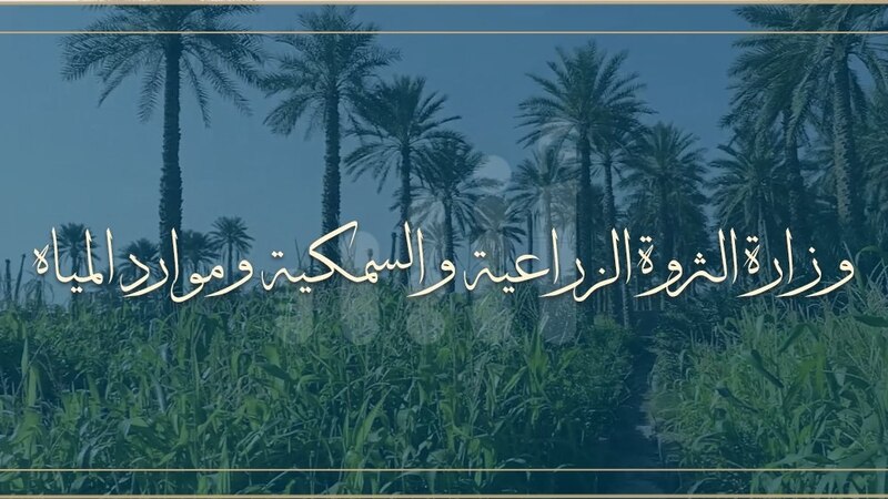 الزراعة تصدر إعلانًا لأصحاب طلبات الانتفاع للأراضي الزراعية