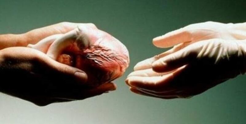 غرامات تصل لـ 10000 ريال: إصدار لائحة تنظّم نقل وزراعة الأعضاء والأنسجة البشرية بالسلطنة