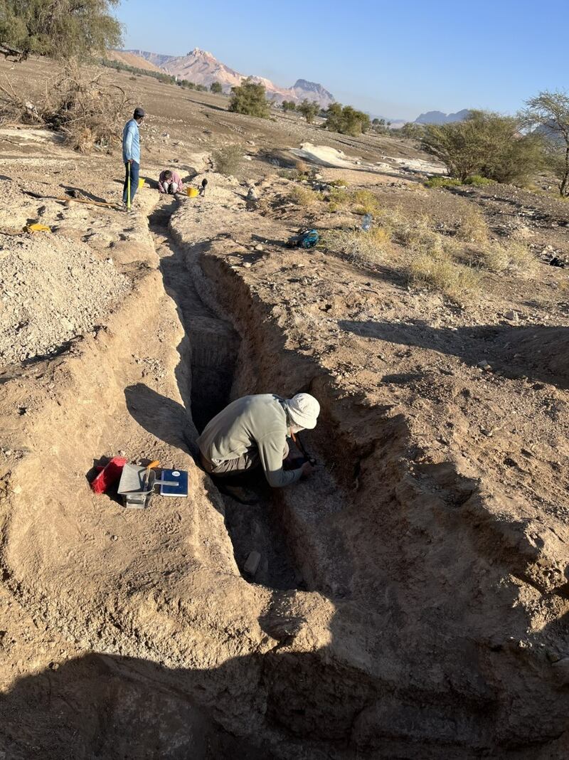 بها هياكل عظمية: الإعلان عن مكتشفات أثرية عمانية جديدة