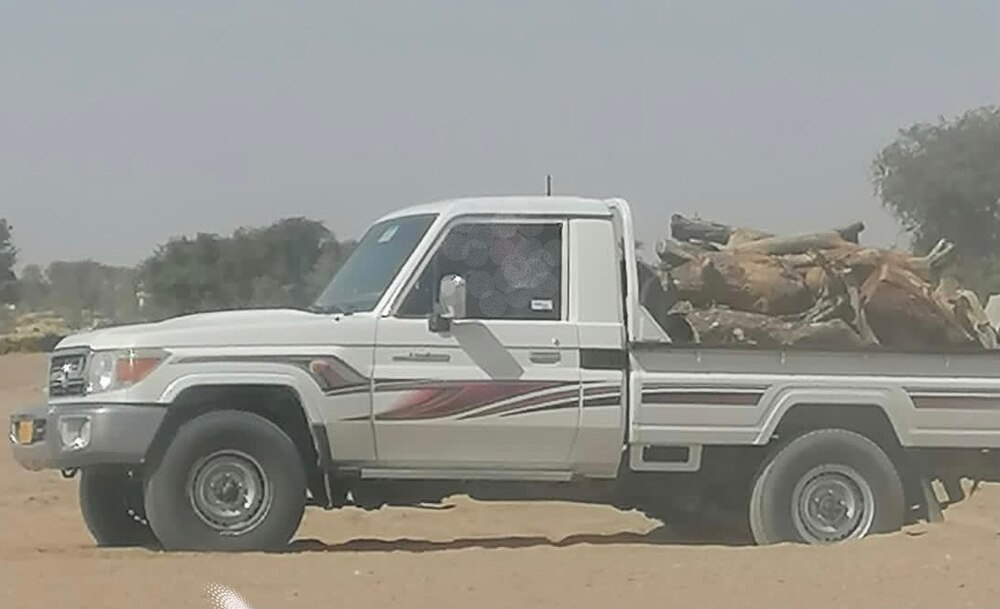 يحتطب بدون تصريح والبيئة تضبطه