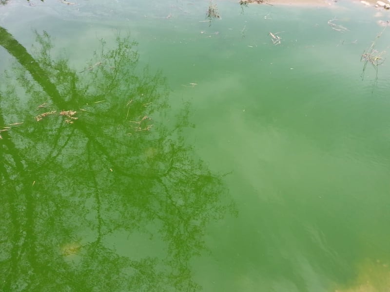 بالصور: وادٍ أسود في الخابورة ومواطنون مُتفاجِئون