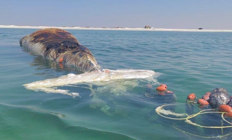 بالصور: نفوق حوت على أحد الشواطئ العمانية