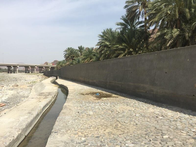 لحماية الأراضي من الانجراف: الزراعة تكشف عدد حوائط الحماية