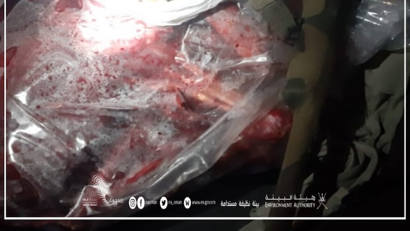 بالصور: القبض على صائدي غزال عربي