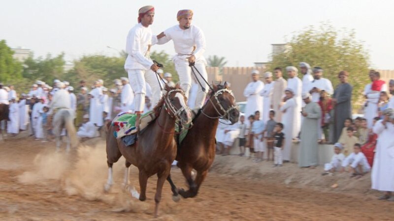 اليونيسكو تسجّل عرضة الخيل والإبل كملف منفرد للسلطنة