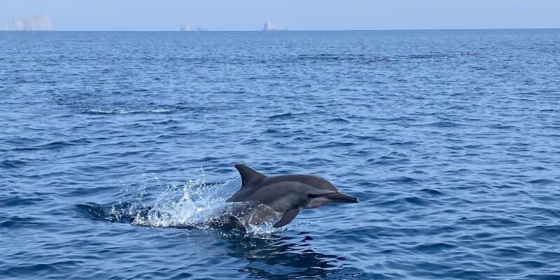 مشروع يستكشف الموارد السمكية في بحر العرب وعمان