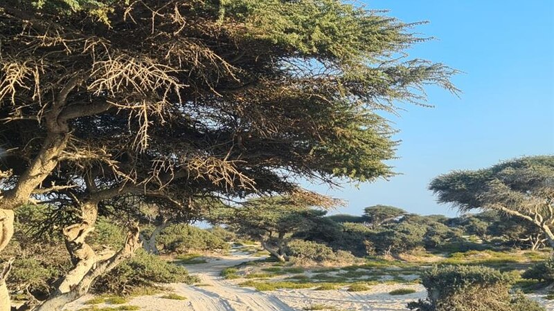 بوادر لنجاح المزارع الإنتاجية في هيماء