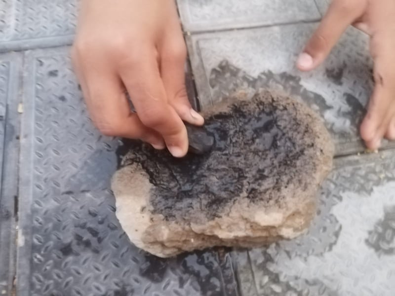 علاج شعبي قديم استخدمه العمانيون لعلاج لسعات العقارب، تعرّف عليه