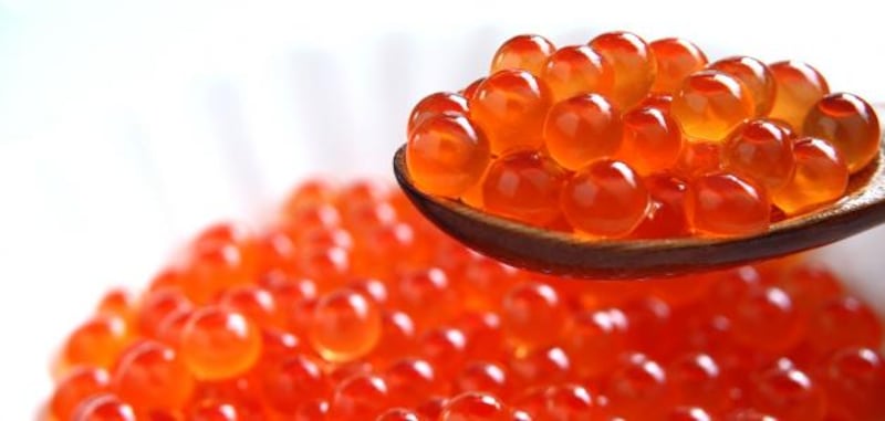 “بيض السمك” يؤكد البعض بأنها وجبة لذيذة؛ فهل جربتها؟